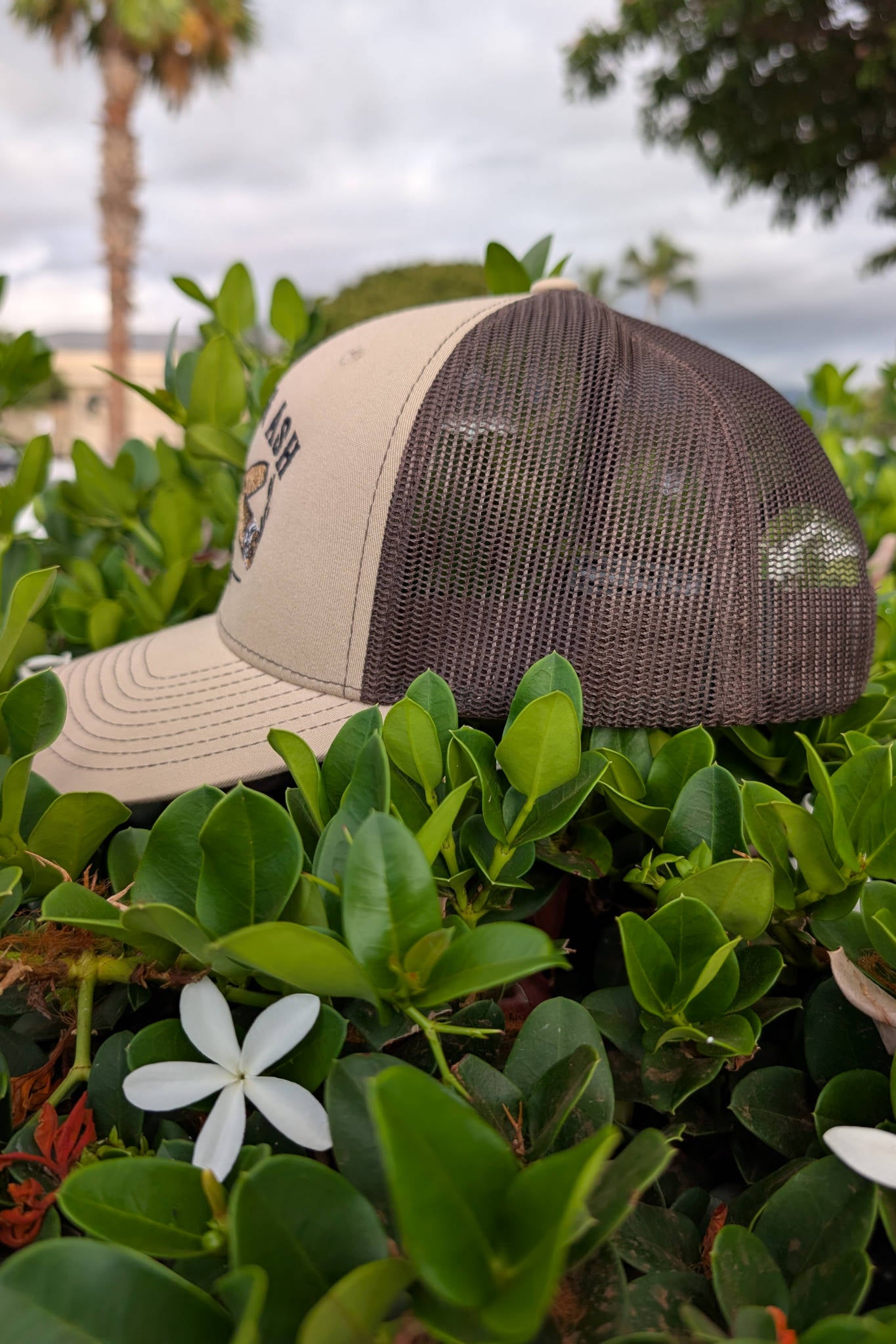 Classic Trucker Hat