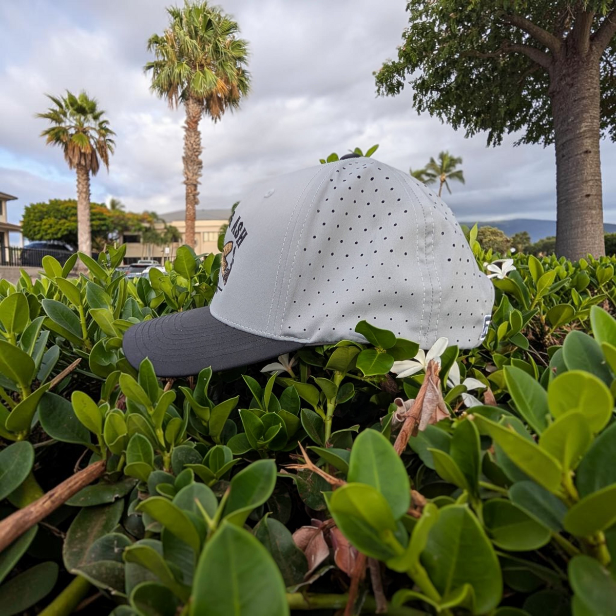 Cigar & Ash Co. gray and black laser perforated snapback hat with moisture-wicking fabric in a garden setting