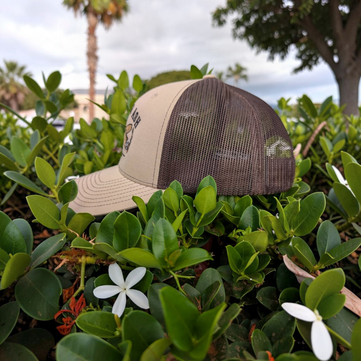 Cigar & Ash Co. classic trucker hat in tan and brown with embroidered logo, resting in green garden foliage.